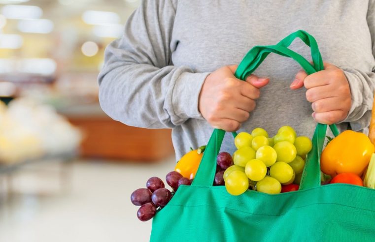 Various Ways to Make Usage of Recycled Bags in Every Task