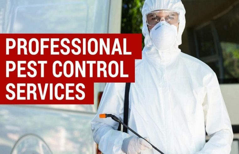 BENEFITS OF HIRING A PROFESSIONAL PEST CONTROL COMPANY