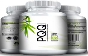 Facts about Pyrroloquinoline Quinone