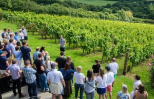 Capital Timeshare- Planning For The Perfect Wine-Tasting Vacation 