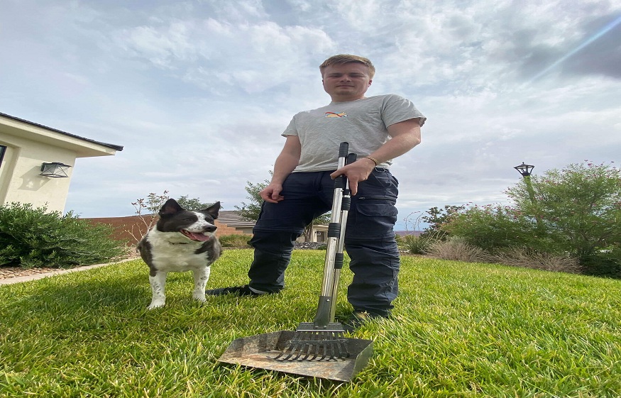 Managing Expectations for a Reliable pooper scooper service in Henderson